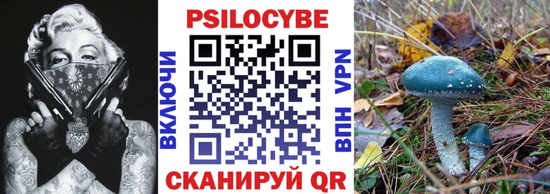 даркнет сайт  Кувшиново  Псилоцибиновые грибы Psilocybine cubensis 